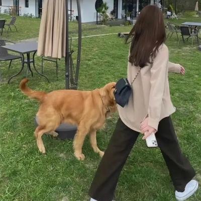 无罪之凶